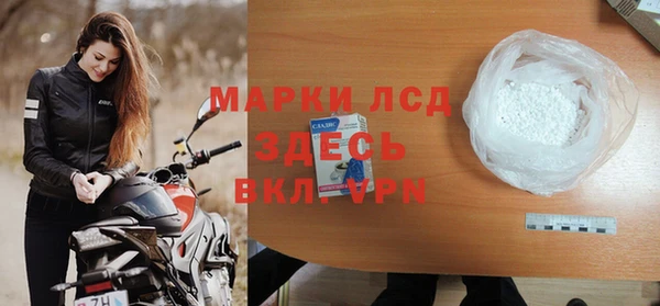 спайс Корсаков