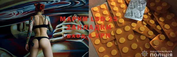 спайс Корсаков