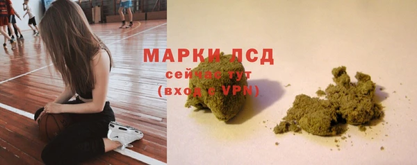 гидра Коряжма