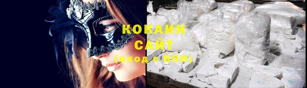 спайс Корсаков