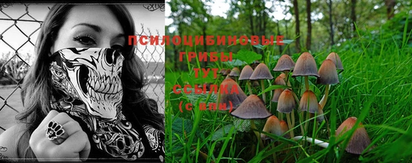 таблы Козельск
