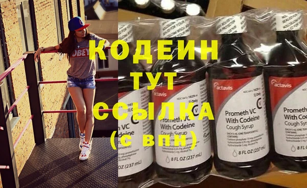 сатива Кодинск