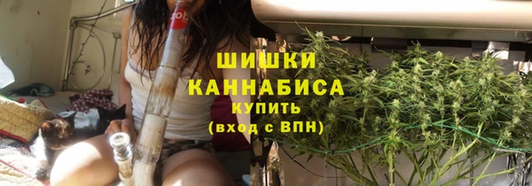 спайс Корсаков