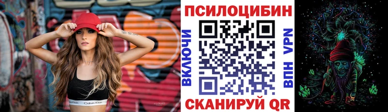 где продают   Кизляр  Галлюциногенные грибы GOLDEN TEACHER 