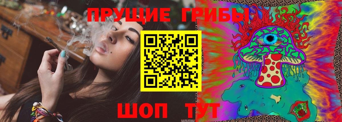 Кизляр  Псилоцибиновые грибы MAGIC MUSHROOMS  Вход с VPN 